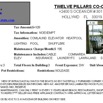 More Info-Twelve Pillar 301